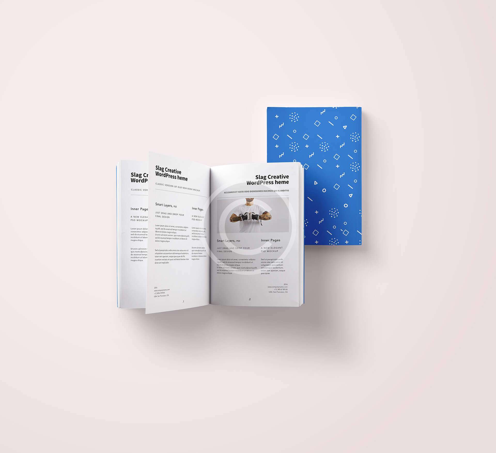 Software Modernization